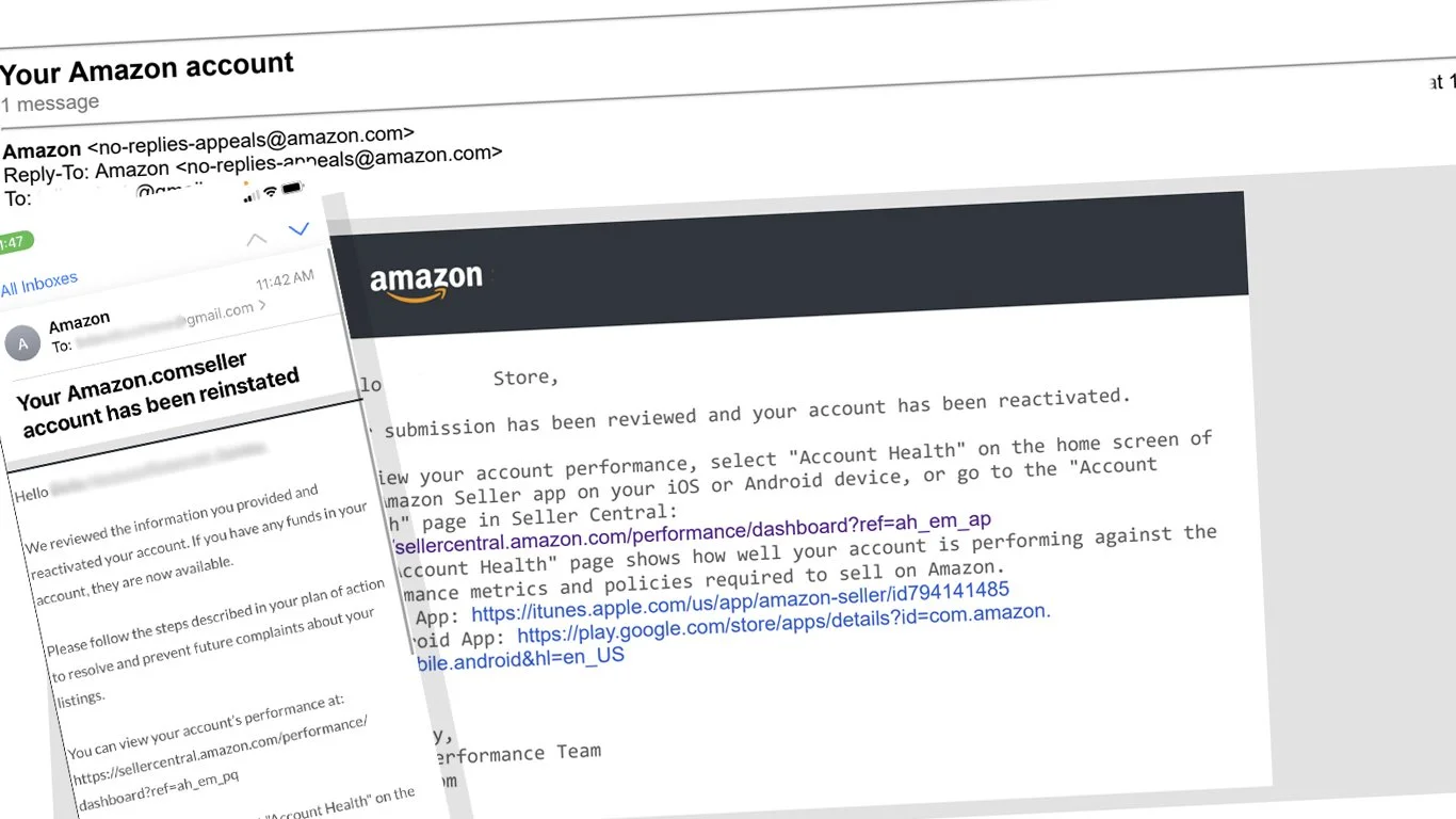 Amazon reinstatement email — account reactivated notice